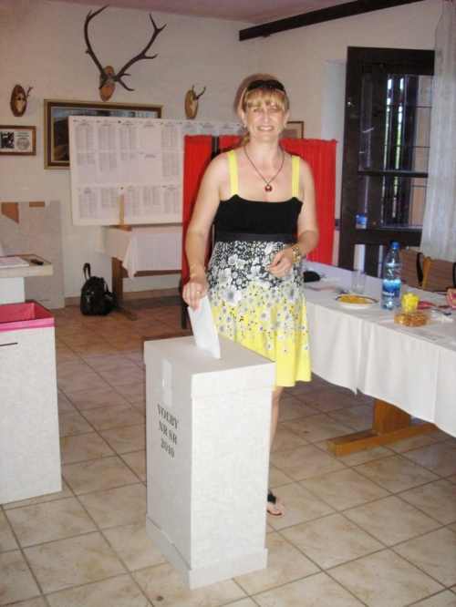 201006130130100.20100612_volby_do_nr_011