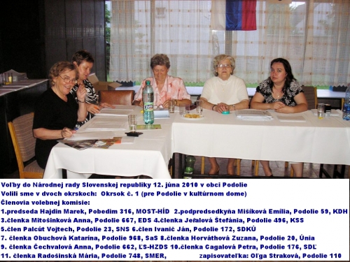 201006130130100.20100612_volby_do_nr_020