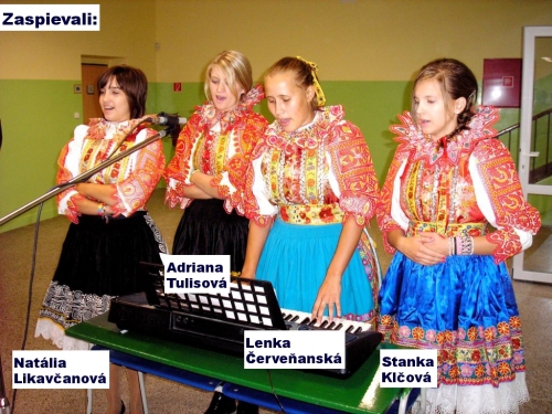201009020110080.2010901_otvor_zs_04