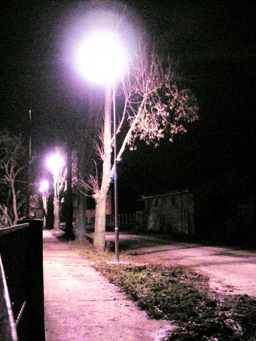 201011202354420.20101120_vo_ku_ms_1