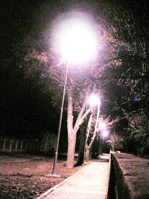 201011202354420.20101120_vo_ku_ms_2
