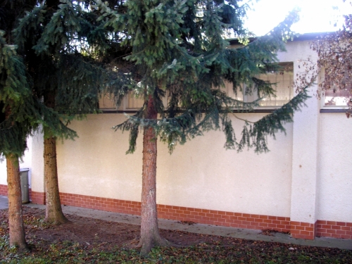 201011242339180.20101029_ms_1_pav_004