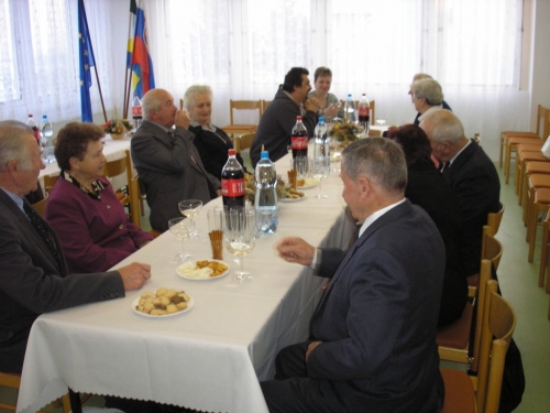 201101191615400.20101230_vyr_sobas_27