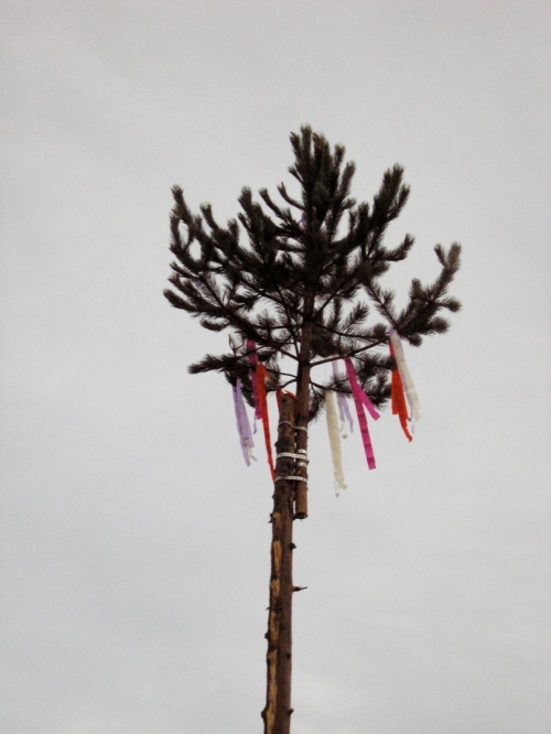 201105082216170.20110430_stavanie_maja17