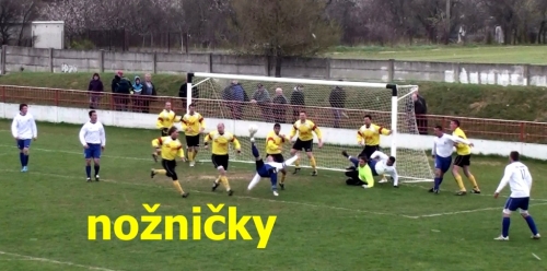 201204082226520.20120408143157_5