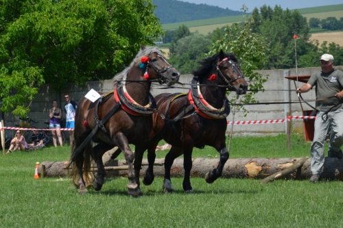 201209030117170.20120630_kone_2_sutaz_007