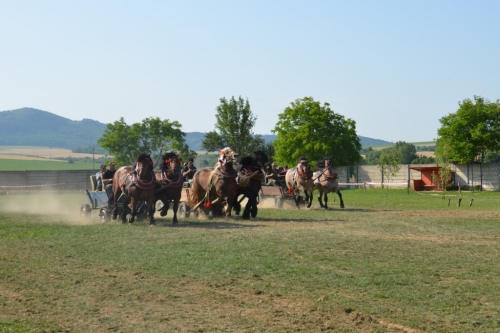 201209030117170.20120630_kone_celkovo_039