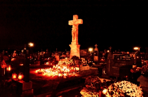 201211052307180.20121104_cintorin_033
