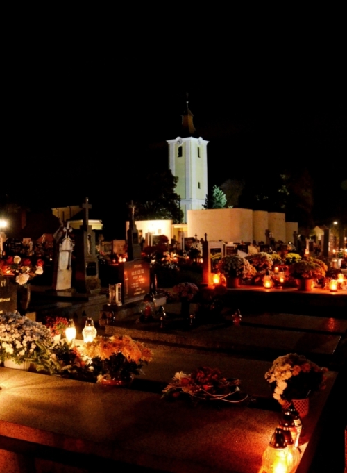 201211052307190.20121104_cintorin_002