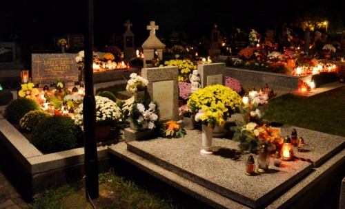 201211052307190.20121104_cintorin_018