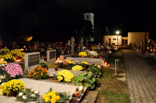 201211052307190.20121104_cintorin_021