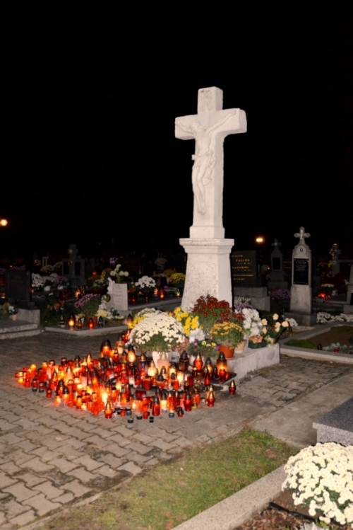 201211052307220.20121104_cintorin_034
