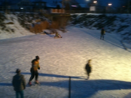 201301150007270.dsc_0152