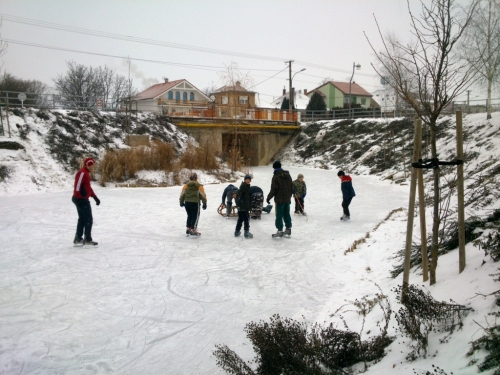 201301150007280.dsc_0119
