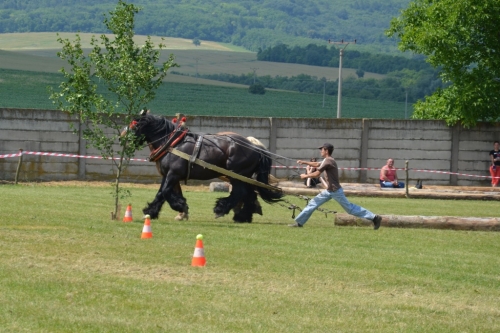 201307010134290.20130629_370