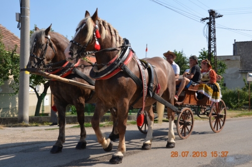201307290338440.20130728_annabal_109