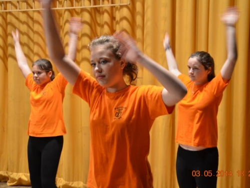 201405040109480.20140503_oslavy_50_vyr_zs_292