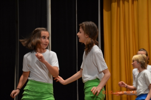 201405040109520.20140503_oslavy_50_vyr_zs_121