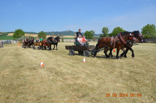 201406292344150.20140628_furmanske_preteky_029
