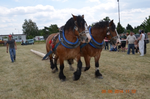 201406292344150.20140628_furmanske_preteky_170