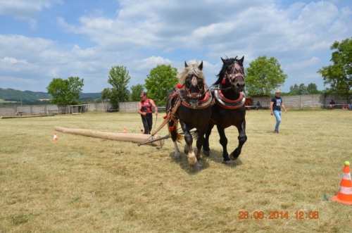 201406292344150.20140628_furmanske_preteky_191
