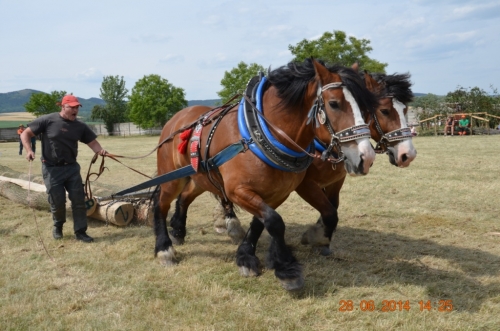201406292344150.20140628_furmanske_preteky_303