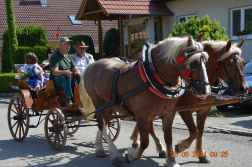 201406292344160.20140628_furmanske_preteky_003