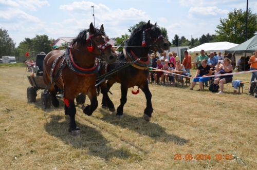 201406292344160.20140628_furmanske_preteky_092