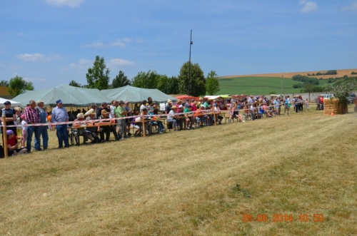 201406292344160.20140628_furmanske_preteky_102