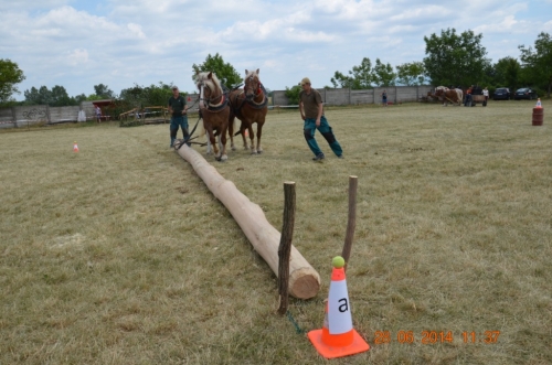 201406292344160.20140628_furmanske_preteky_150