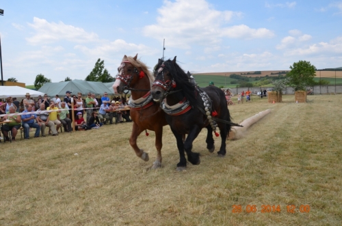 201406292344160.20140628_furmanske_preteky_177