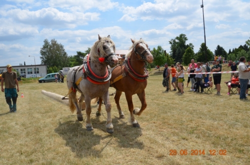 201406292344160.20140628_furmanske_preteky_178