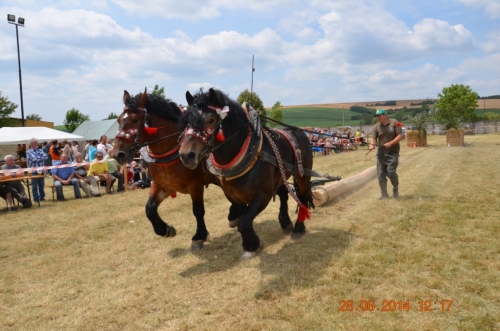201406292344160.20140628_furmanske_preteky_201