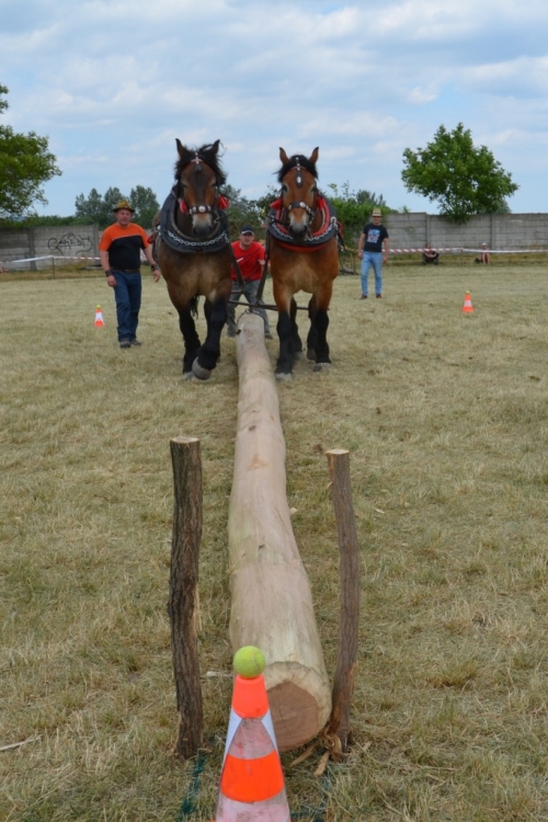 201406292344160.20140628_furmanske_preteky_207