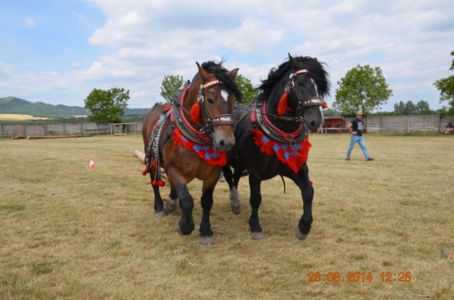 201406292344160.20140628_furmanske_preteky_211