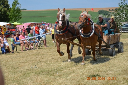 201406292344170.20140628_furmanske_preteky_050
