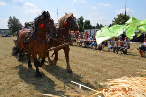 201406292344170.20140628_furmanske_preteky_057
