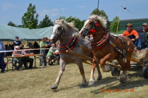 201406292344170.20140628_furmanske_preteky_085