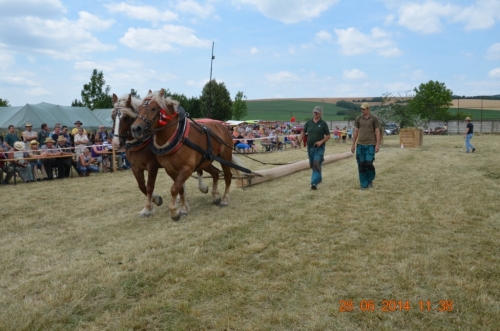 201406292344170.20140628_furmanske_preteky_156