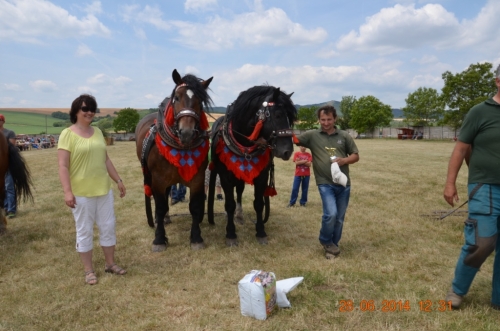201406292344170.20140628_furmanske_preteky_221