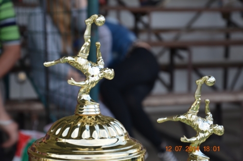 201407131710390.20140712_futbalovy_turnaj_333