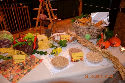 201410051522590.vystava_jese_v_podoli_039