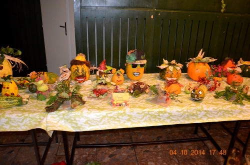 201410051522590.vystava_jese_v_podoli_080