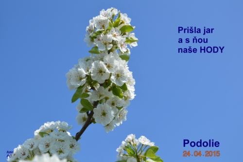 201504281009280.hody_025_text