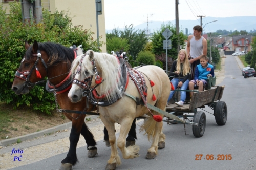201506300044450.furmanske_033