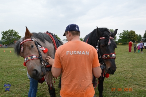 201506300044450.furmanske_043