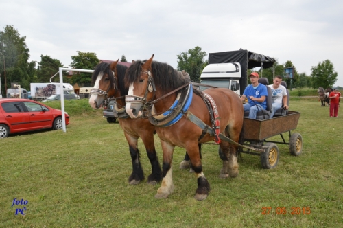 201506300044450.furmanske_047