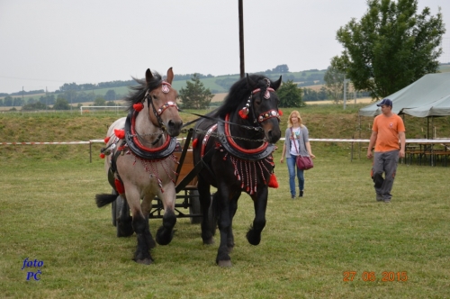 201506300044450.furmanske_048