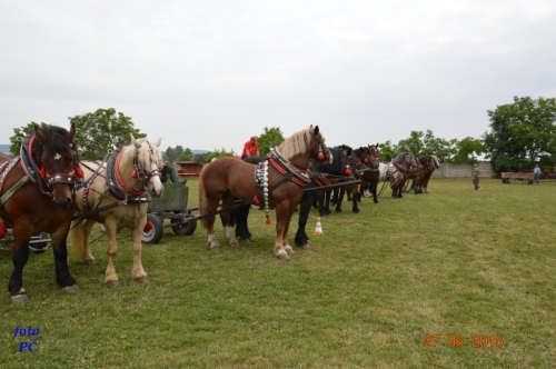 201506300044450.furmanske_060