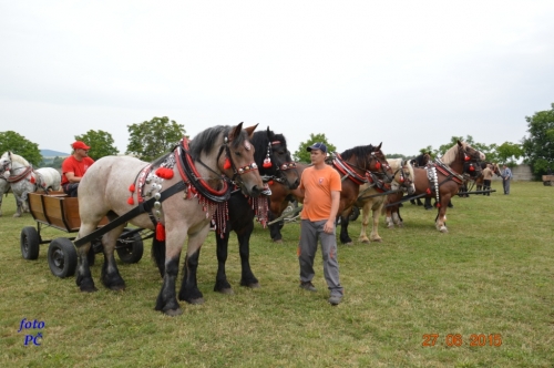 201506300044450.furmanske_061